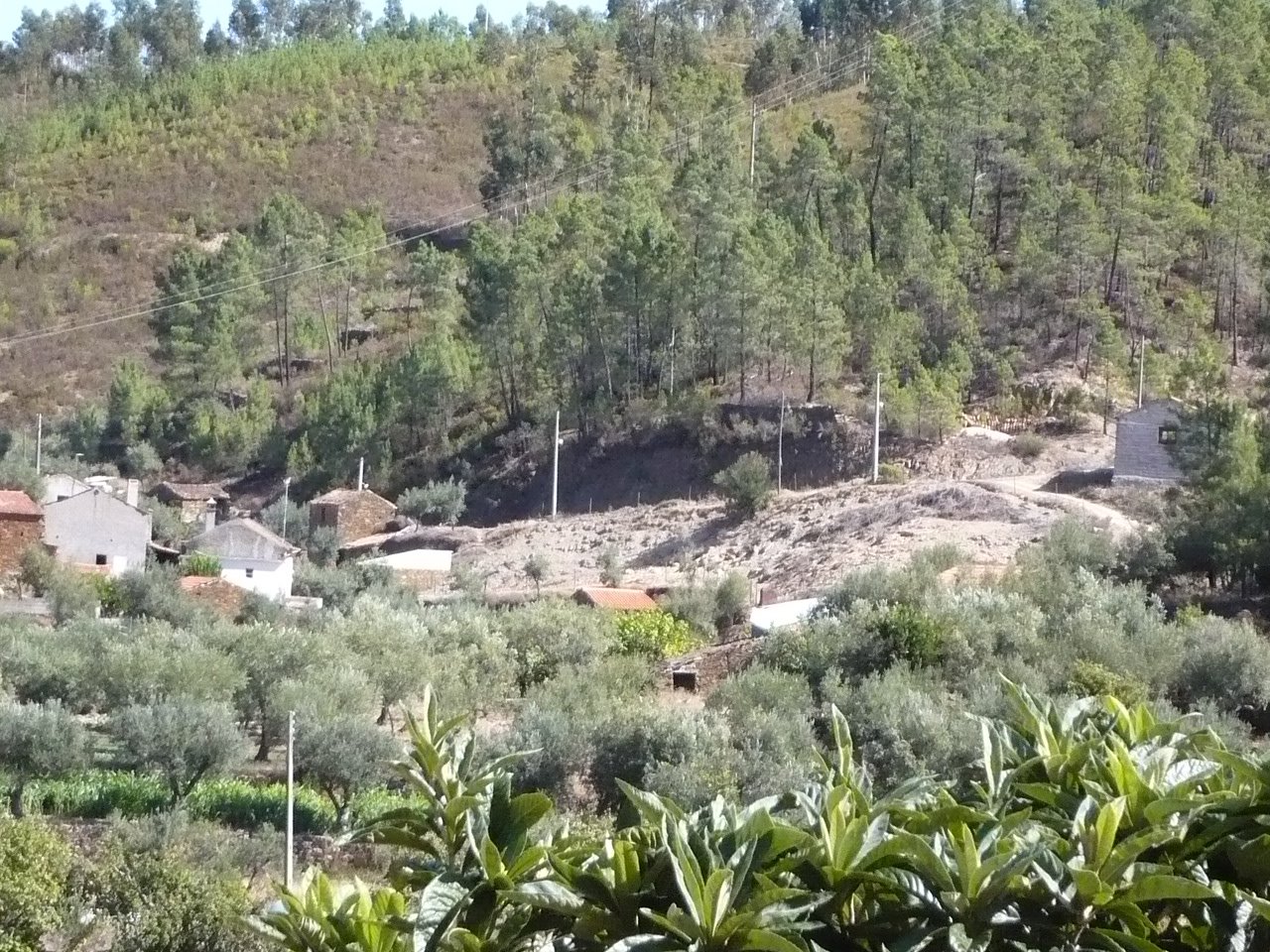 [P1020114.JPG]