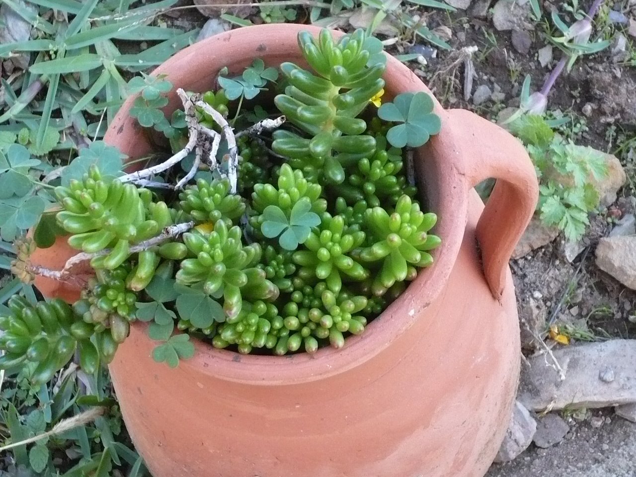 [P1020116.JPG]