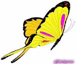 Yellow Butterfly fachry Butterflies Tattoos, Butterflies Design, Best Butterflies, Butterflies Tattoos, Butterfly Pictures, Butterflies Galleries, Free Butterfly Image, Personal Best Butterfly