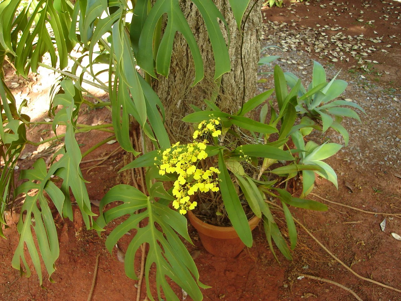 [1+DSC05010.JPG]