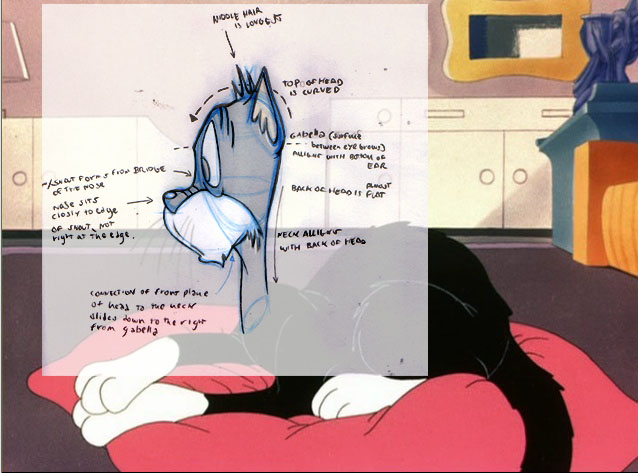 [cat-compare_side.jpeg]