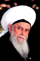 Sulthan Al Awliya Sayyidi Syaikh Mawlana Muhammad Nazim Adil Al Haqqani q.