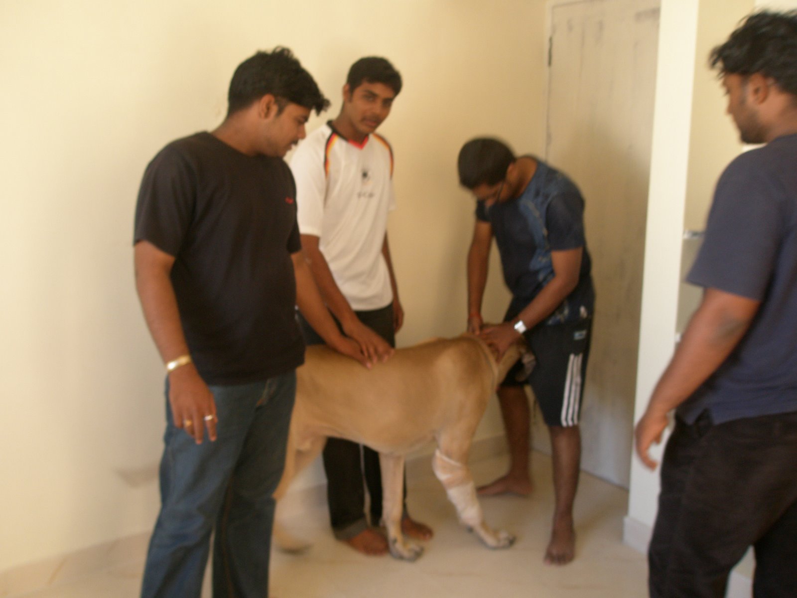 [PC030230.JPG]