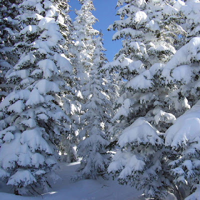 FOTOS DE PAISAJES NEVADOS: marzo 2009