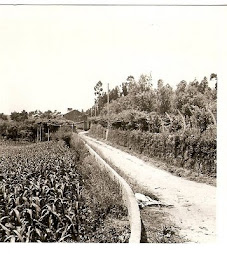 Lugar de Ribeiro-Travesso