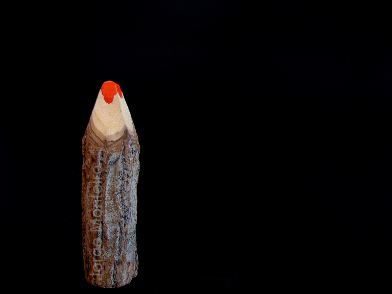 [Pau+de+escrita.jpg]