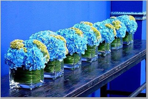 [hydrangea.jpg]