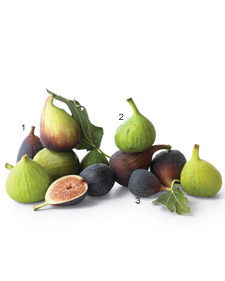 [martha+figs.jpg]