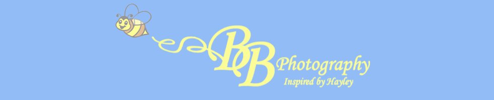 BB Photography by Brandyn Beuchert