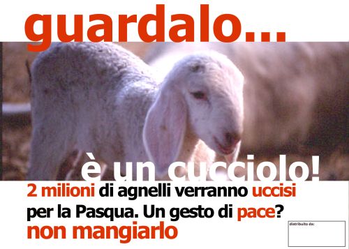 [BUONAPASQUAECO2.JPG]