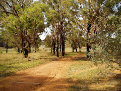 The path to the Embassy