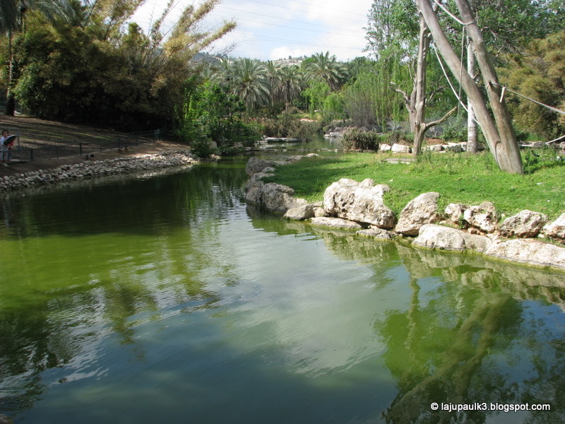 jerusalem zoo