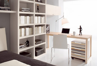 Casas Minimalistas y Modernas: UNA CASA CON BIBLIOTECAS