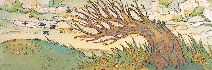 nimasprout