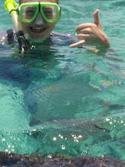 SNORKELING IN THE CARIBBEAN WITH NURSE SHARKS!