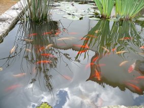 [design_com_texto498.jpg]