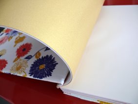 [design_com_texto505.jpg]