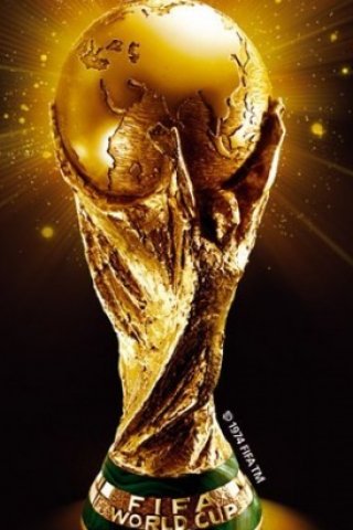 Read Think And Lead: Football World Cup 2010