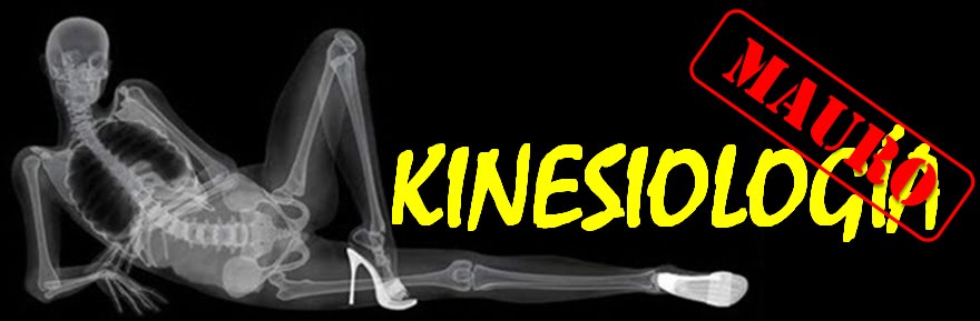 KINEMASTER