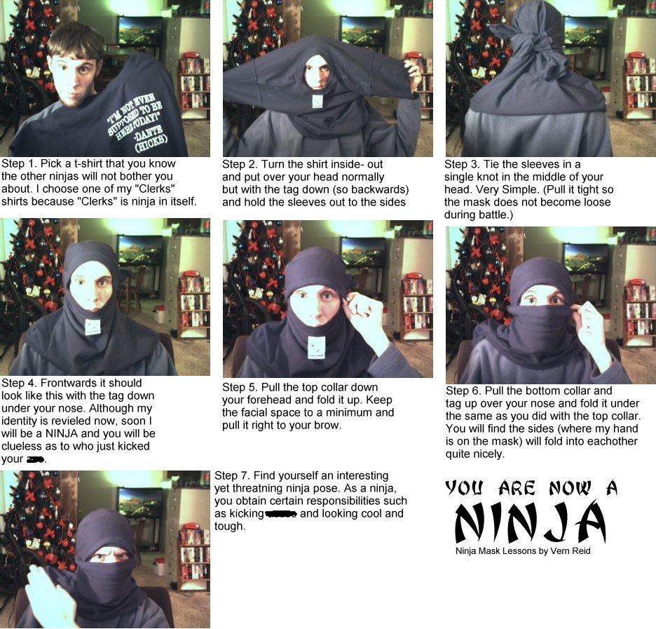[Image: How_To_Be_A_Ninja.jpg]