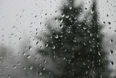 Vallis Blog August 2010