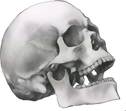 [skull.png]