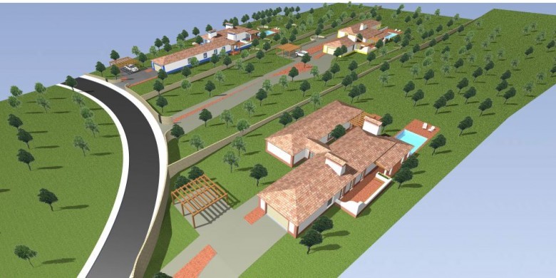 development project