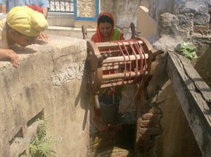  Sangat from Punjab is taking darshan of the well