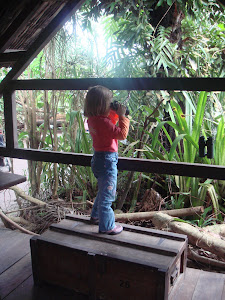 Mellie in de jungle van Zoo Zürich