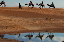 Las aguas del desierto