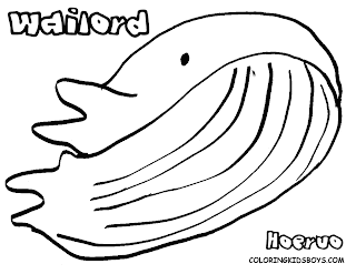 POKEMON COLORING PAGES: Wailord pokemon coloring page