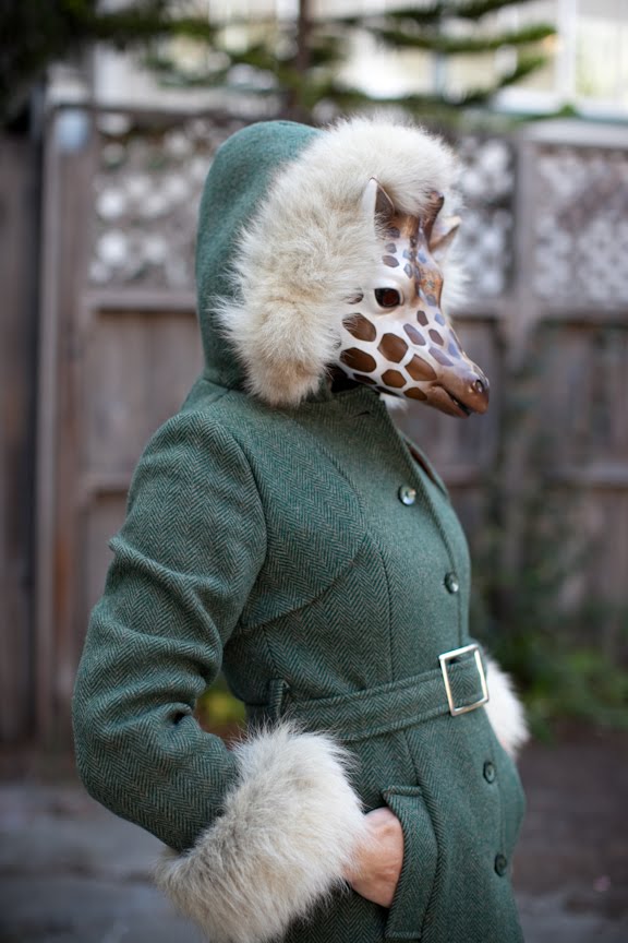 [animalhead_2747+copy.jpg]