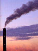 [environmentalpollution.jpg]