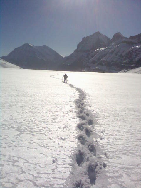 In der Einsamkeit der Alpen
