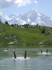 Unter 10 Grad Celsius würde ich den Kopf nicht unbedingt unter Wasser halten.