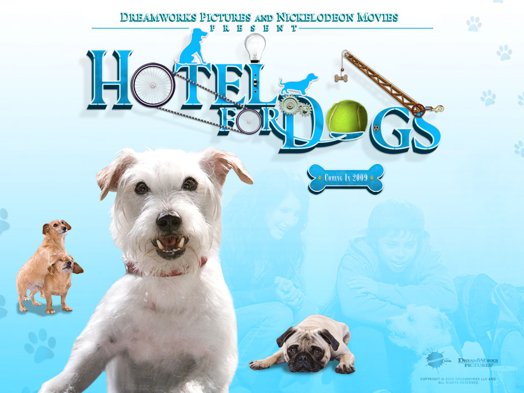 [hotel-for-dogs-2-1024.jpg]