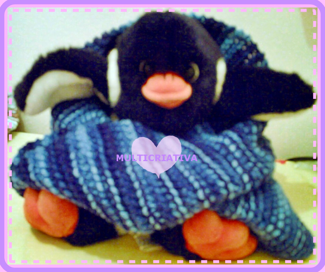 [Pinguin+Silva+Junior.JPG]