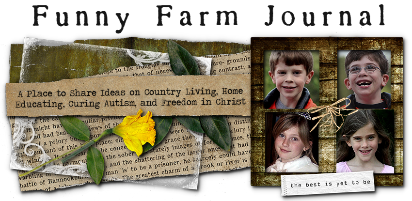 Funny Farm Journal