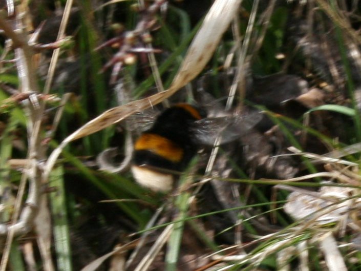 [IMG_1656_edited.jpg]