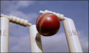 [cricket+stumps.jpg]
