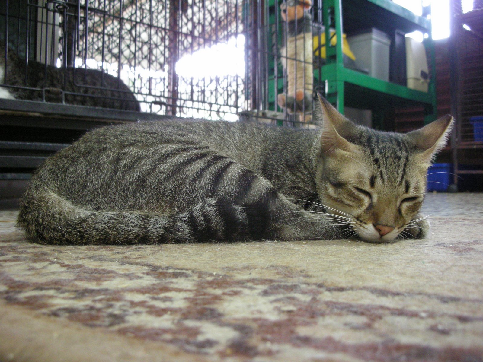 [040.JPG]