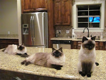 The Pussycatripletts