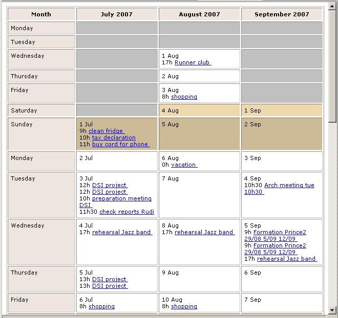 NiveauVerleih: Yearly Calendar view for Outlook