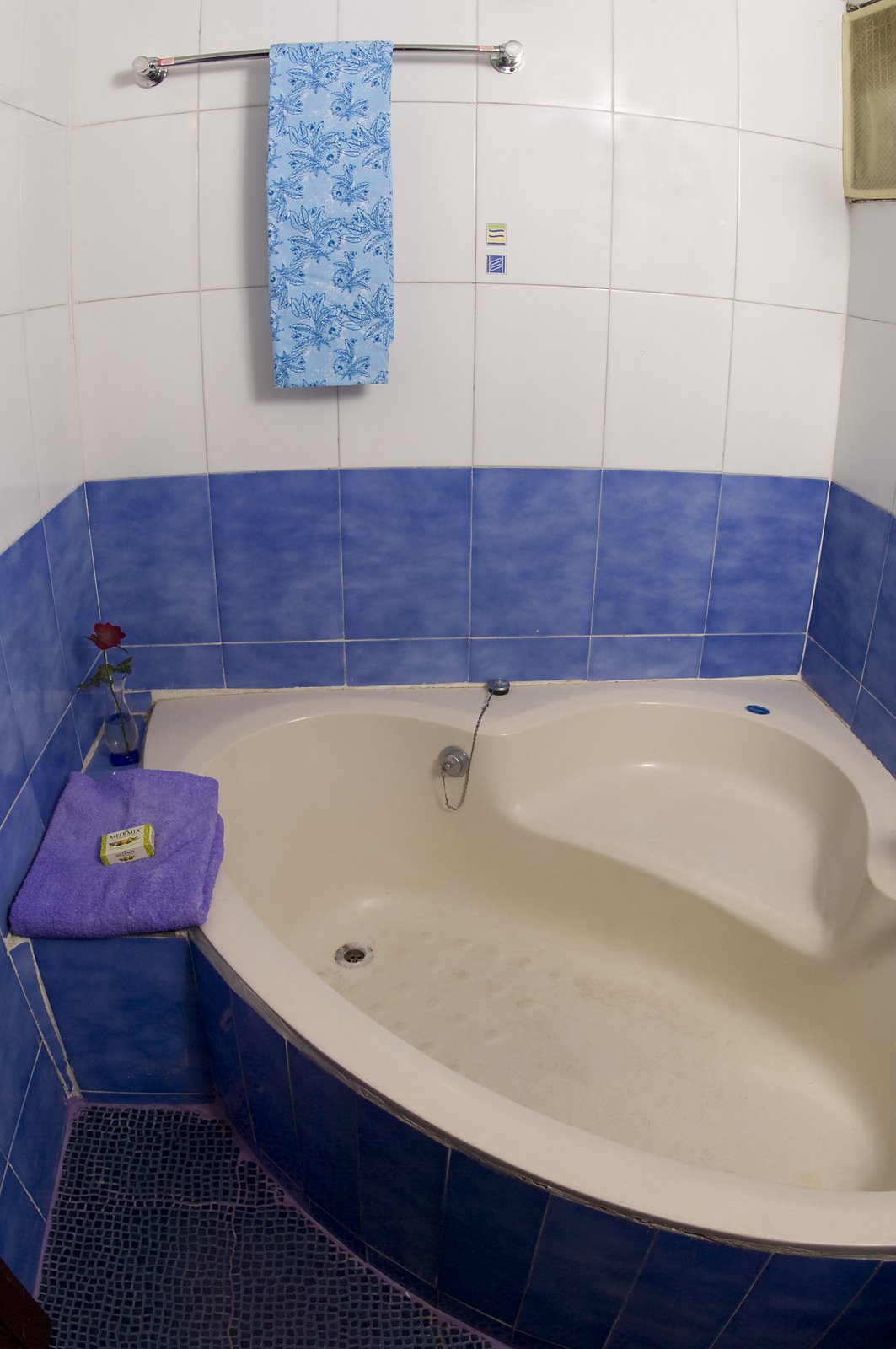 [_DSC4659downbath.jpg]