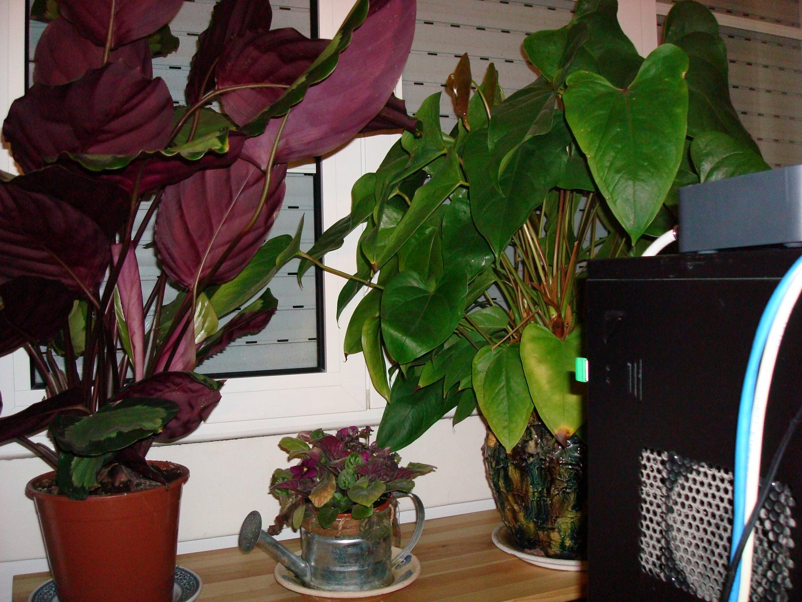 [DSC00213.JPG]