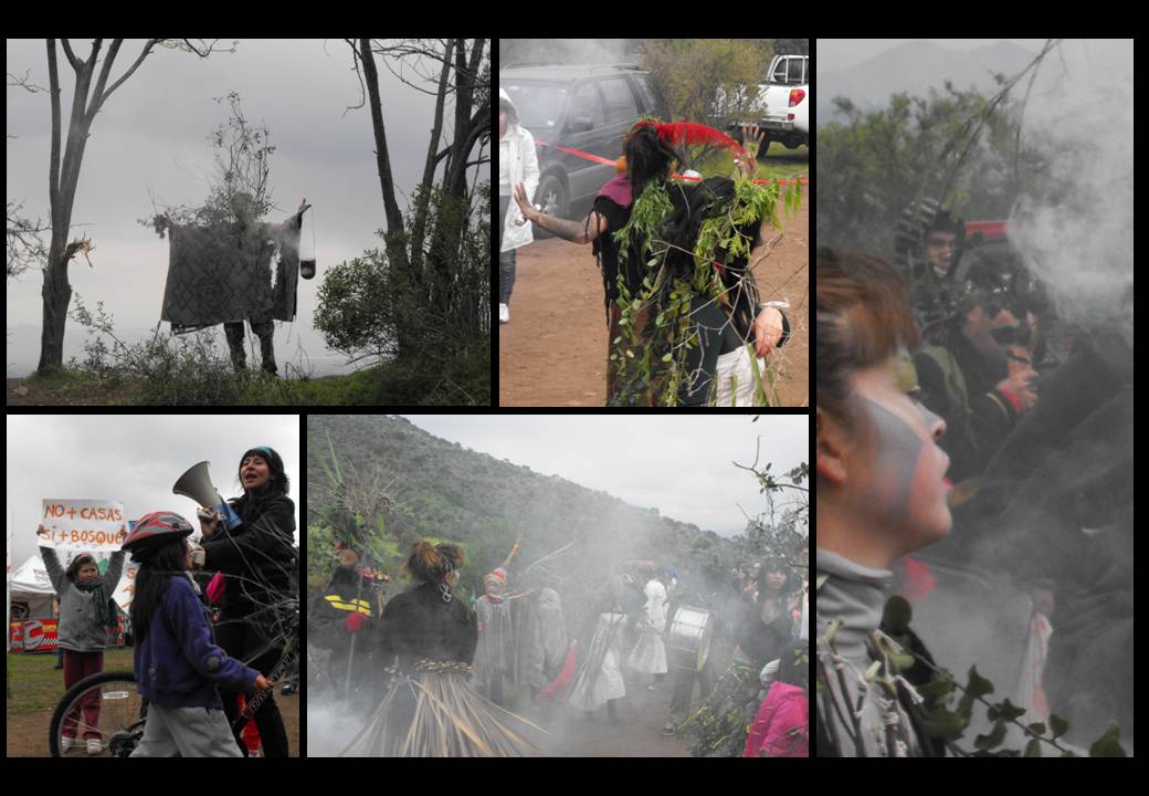 [panul_caravana5[1]]