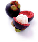 Mangosteen in the News