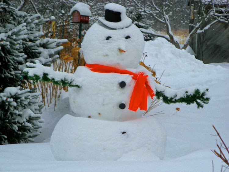 [Snowman.jpg]
