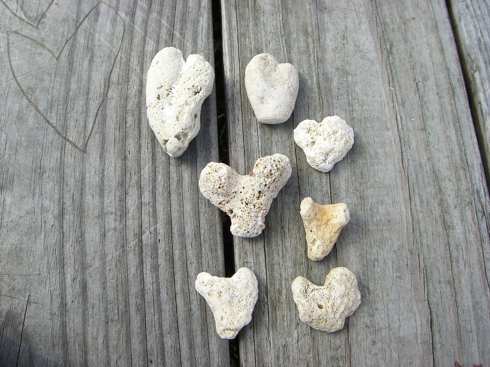 [Hearts+on+wood+021.JPG]