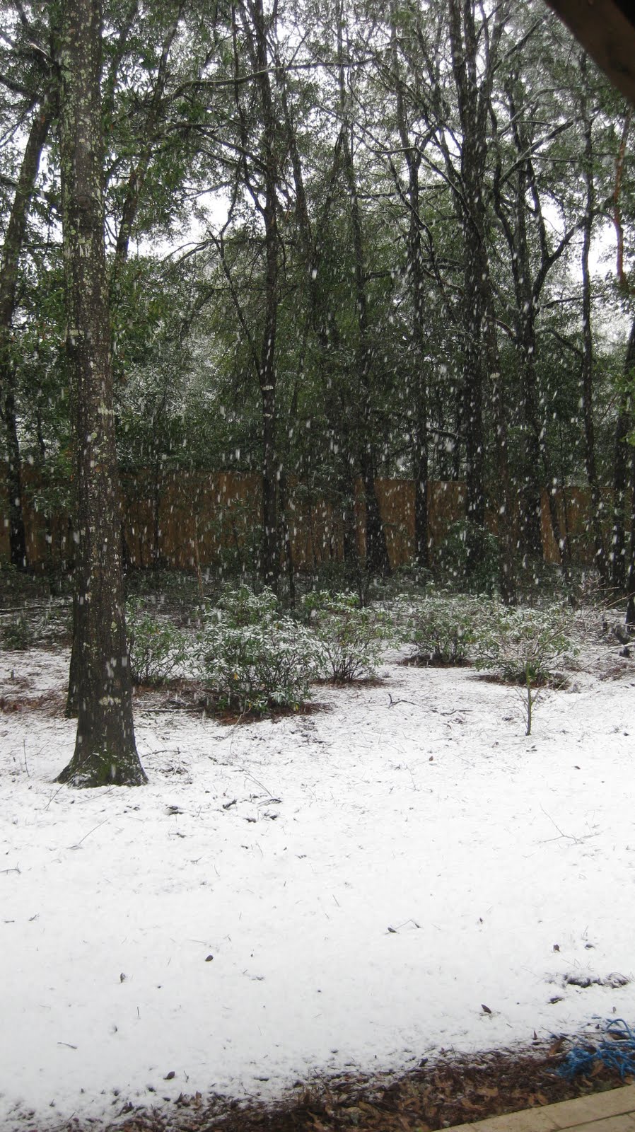 [snow+003.JPG]
